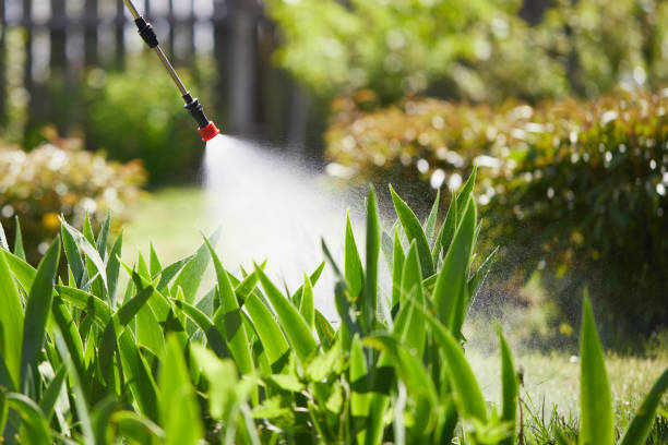 24/7 Emergency Mosquito Control experts in Garland, TX